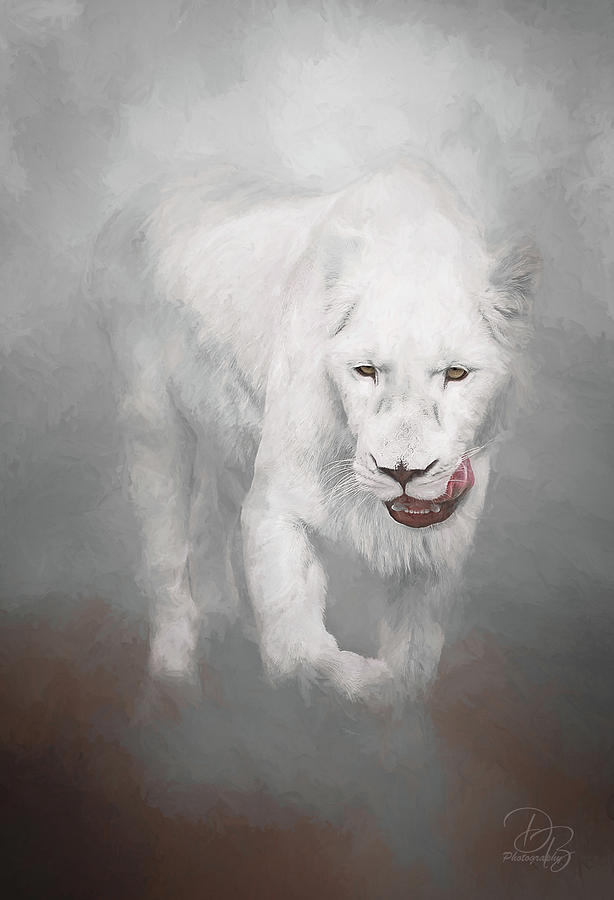 White Lion #1 Photograph by Debra Boucher