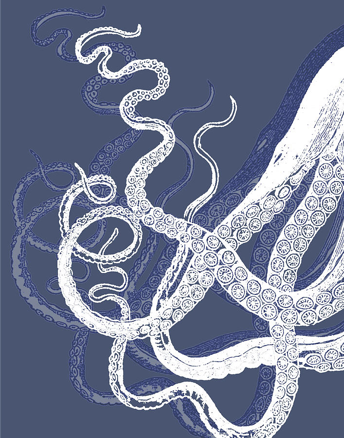 White Octopus On Indigo Blue C Painting by Fab Funky - Fine Art America