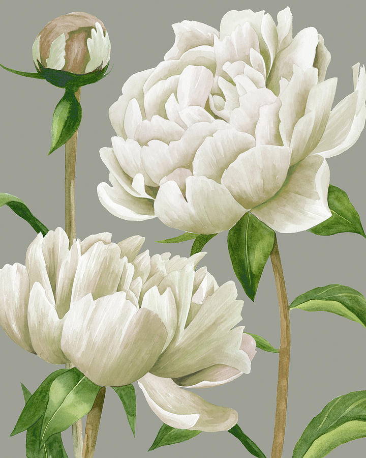White Peonies I #1 Painting by Grace Popp