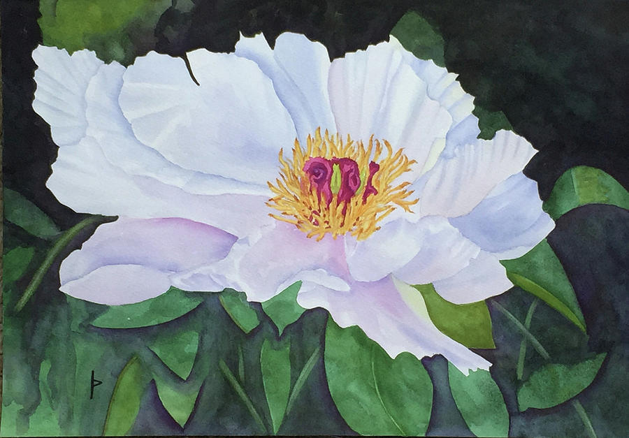 White Peony #1 Painting by Lee Pierce - Fine Art America