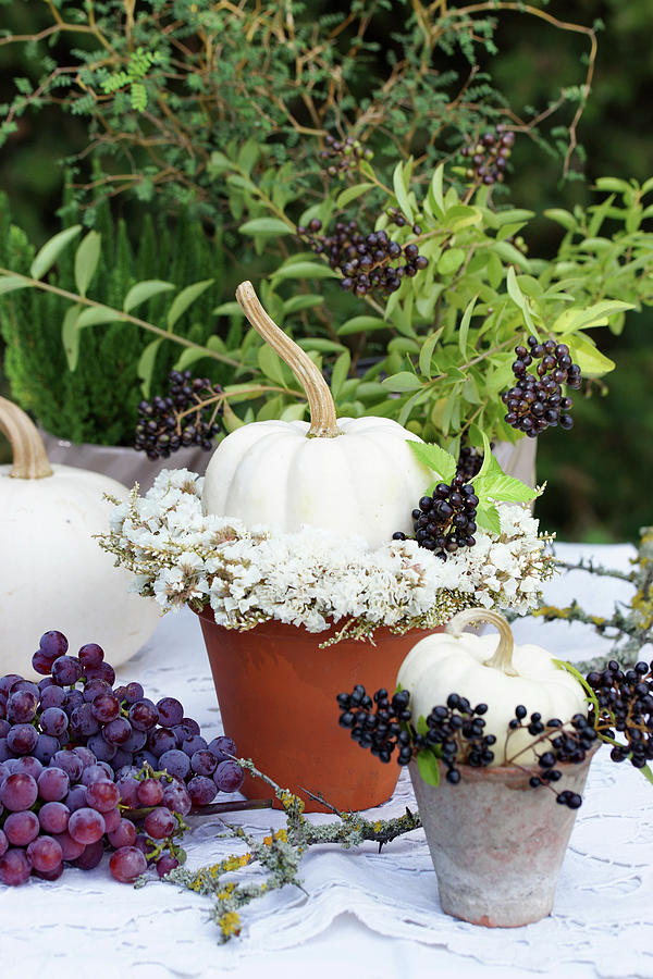 White Pumpkins With A Wreath Of Sea Lavender And Privet Berries #1 Photograph by Angelica Linnhoff