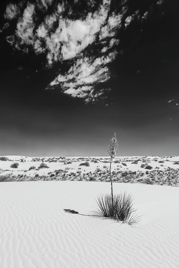 White Sands National Monument Photograph - White Sands Impression - Monochrome #1 by Melanie Viola