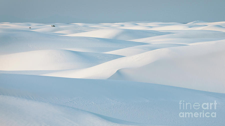 White Sands National Monument #1 Photograph by Doug Sturgess