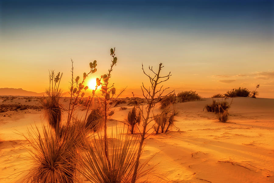 White Sands Sunset Photograph By Melanie Viola Fine Art America