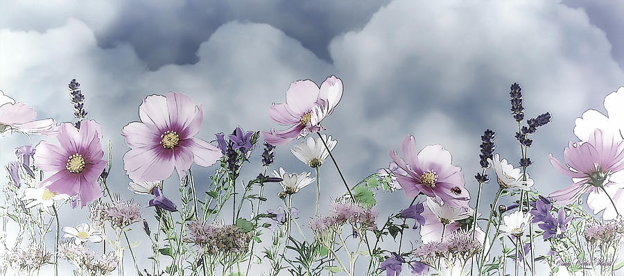 Wild Flowers Digital Art by Cindy Collier Harris