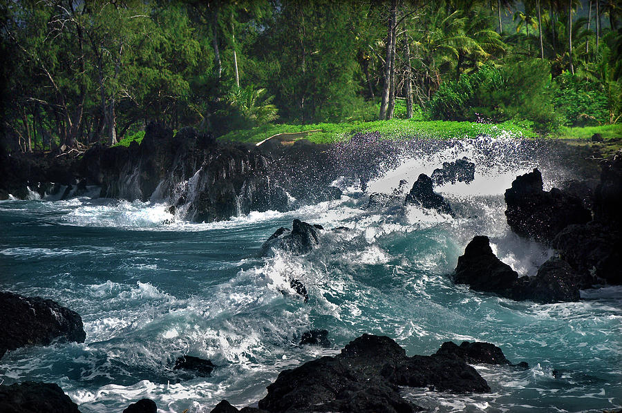 Wild Seascape Of Hawaii #1 Photograph by Mitch Diamond