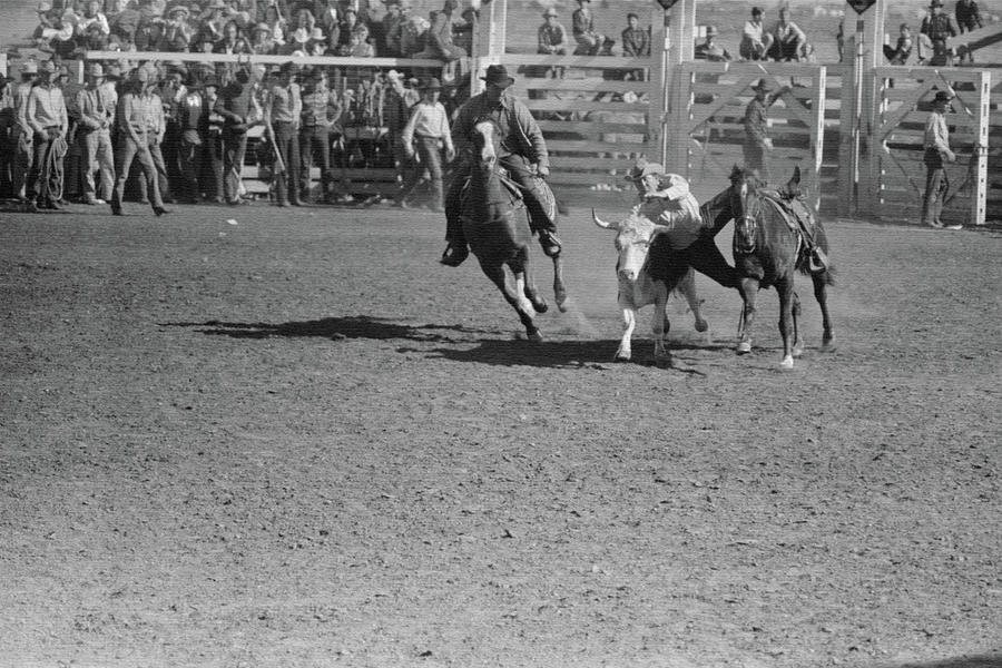 Wild Steer Wrestling Painting by Russell Lee | Pixels