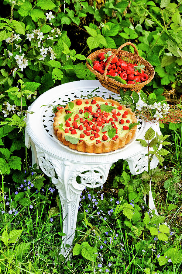 Wild Strawberry Tart With Vanilla Cream #1 Photograph by Franco Pizzochero