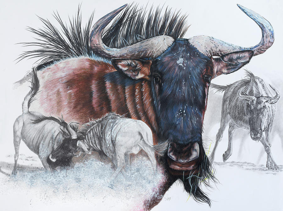 Animal Painting - Wildebeest #1 by Barbara Keith