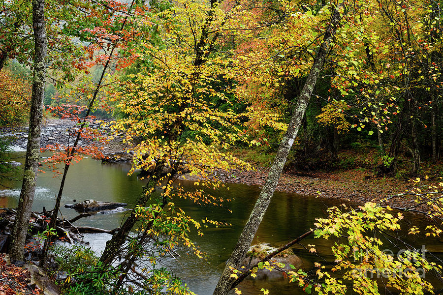 Williams River Rainy Autumn Day #1 Photograph by Thomas R Fletcher