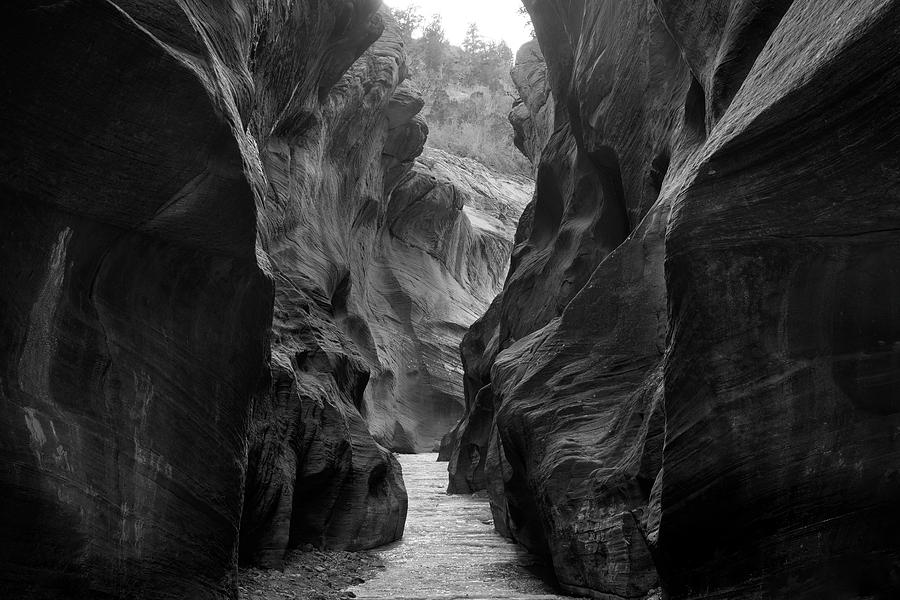 Willis Creek Slot Canyon Utah Winter Photograph