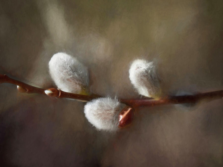 Nature Painting - Willow #1 by Heather Buechel