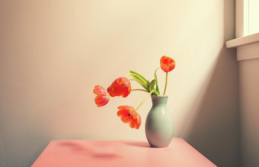 Atmosphere Photograph - Wilting tulips by the window by Natalie Board Atmosphere Photograph - Wilting tulips by the window by Natalie Board