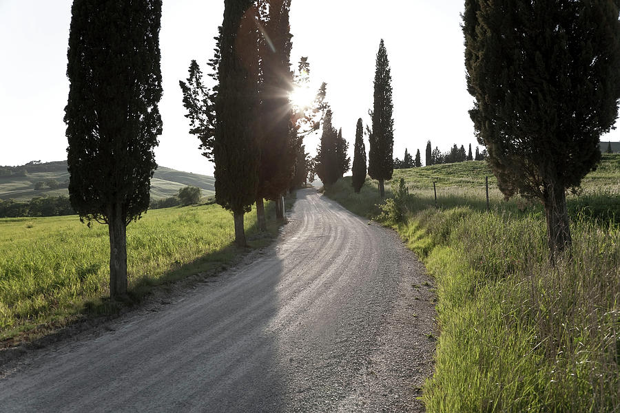 Winding Road, Tuscany, Italy #1 Photograph by Peter Adams