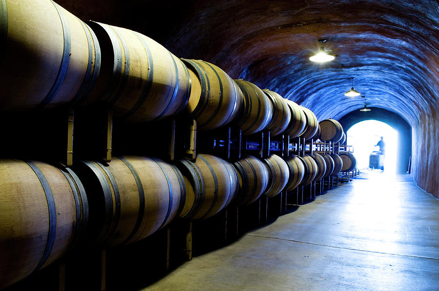 Wine Cave With Oak Barrels In Napa Photograph by Seanfboggs | Fine Art ...