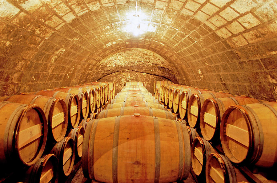 Wine Cellar In Chateau Simone At Provence, France Photograph by Jalag ...