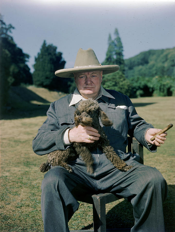 Poodle Photograph - Winston Churchill At Chartwell #1 by Mark Kauffman