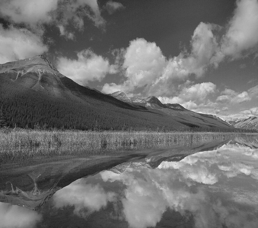 Winston Churchill Range Alberta #1 Photograph by Tim Fitzharris