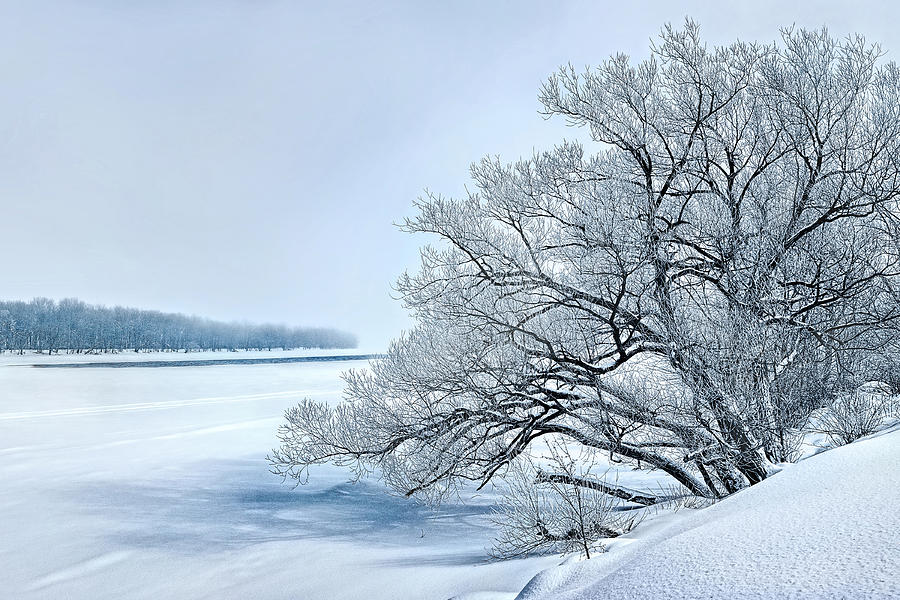 Landscape Photograph - Winter Blues #1 by Lucie Gagnon