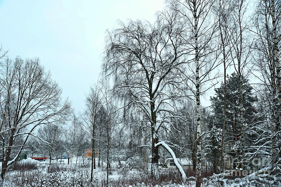 Winter Landscape Photograph - Winter day #1 by Esko Lindell