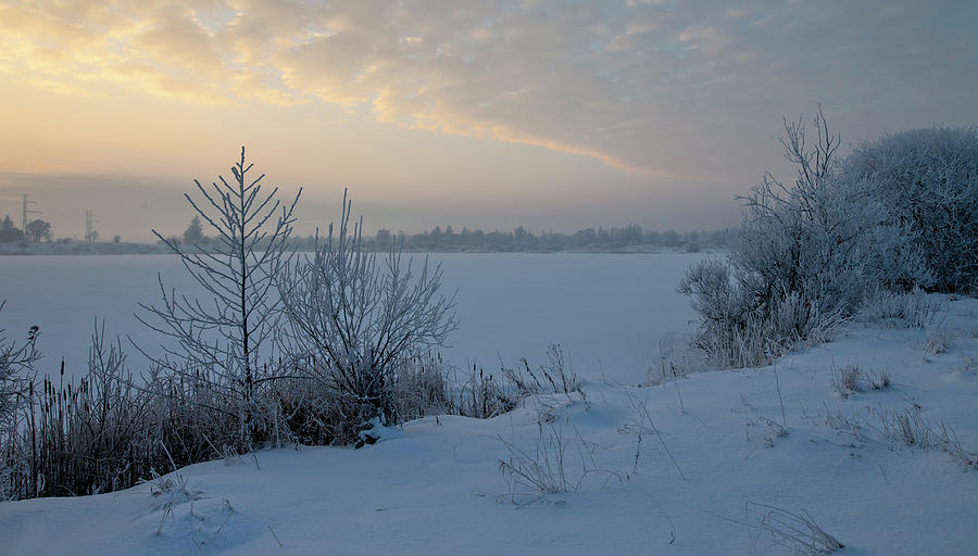 Winter Sunlight  By The Lake Photograph by Aleksandrs Drozdovs