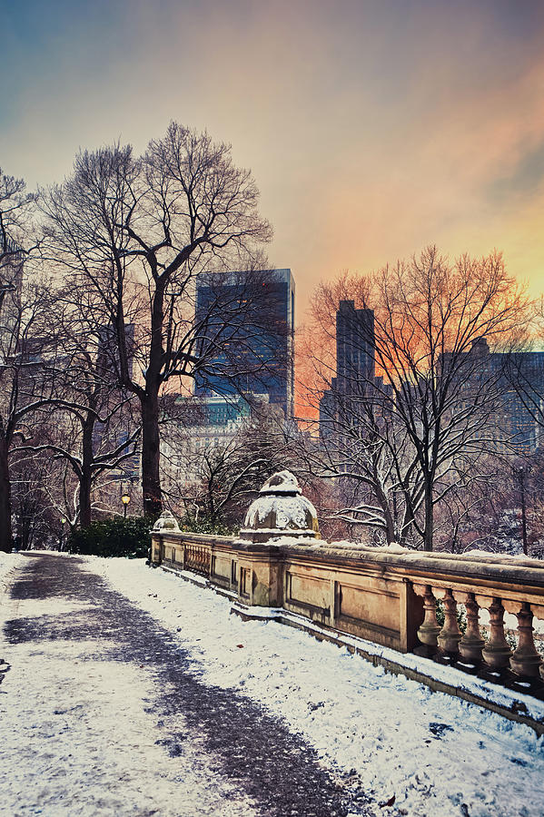 Winter In Central Park, New York City #1 Photograph by Pawel.gaul