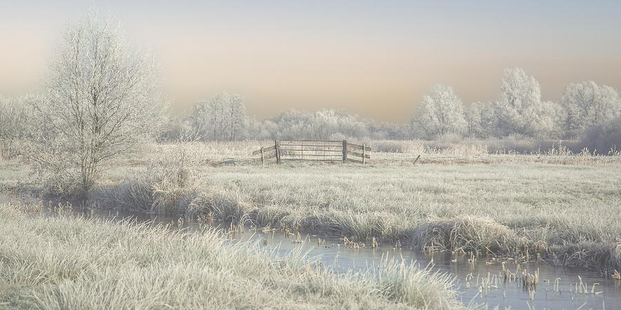 Winter In Holland #1 Photograph by Annie Keizer