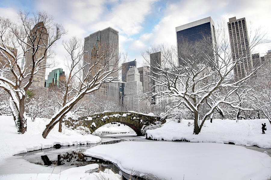 Winter In New York City Photograph by Denistangneyjr