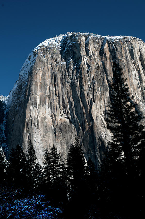 Winter In Yosemite #1 Photograph by Mitch Diamond