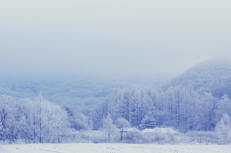 Winter Photograph by Jae Sun Shin - Fine Art America