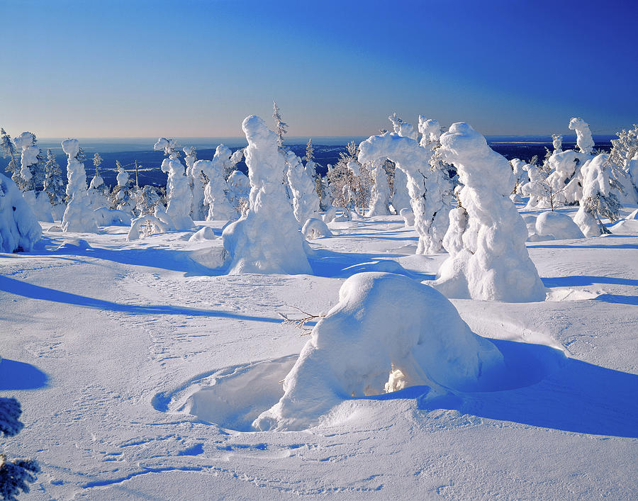 Winter Landscape, Lapland, Finland #1 Digital Art by Gunter Grafenhain