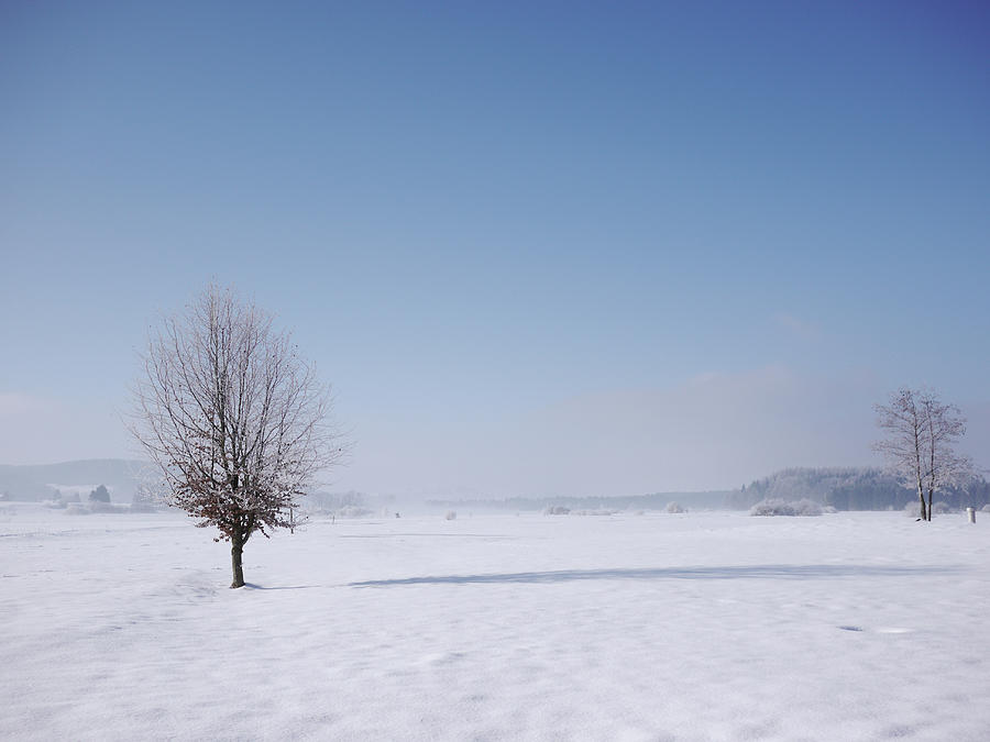 Winter Landscape #1 Photograph by Rolfo