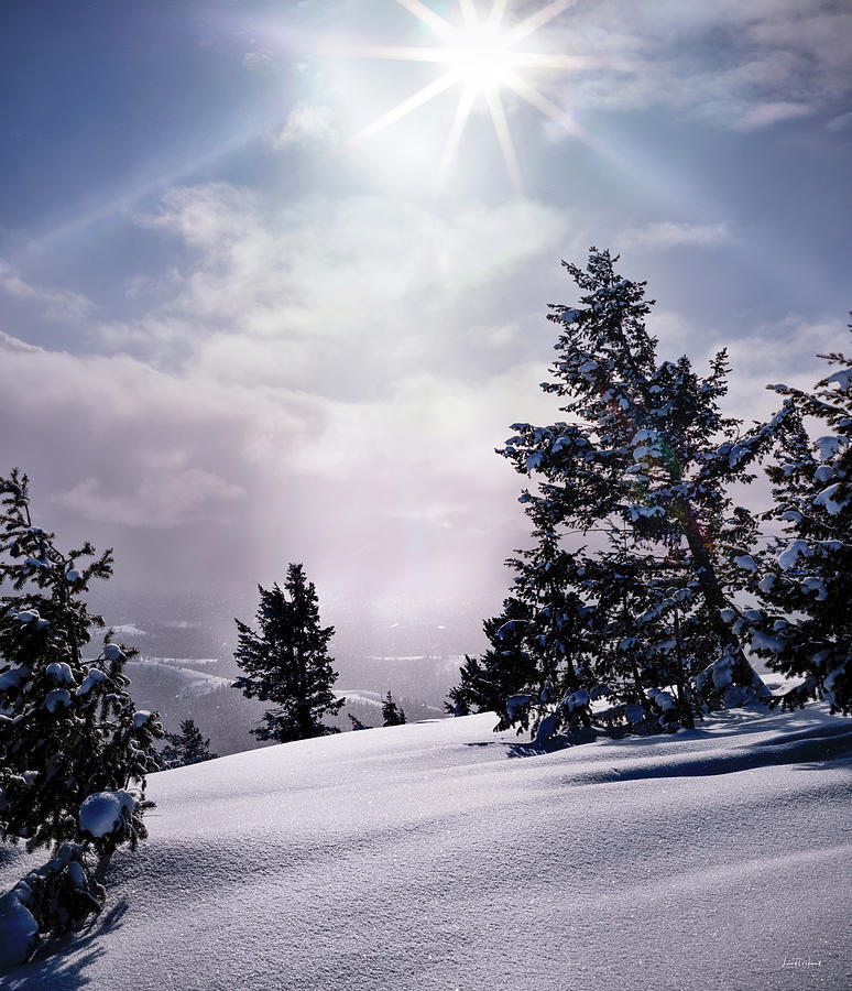 Winter Light #1 Photograph by Leland D Howard
