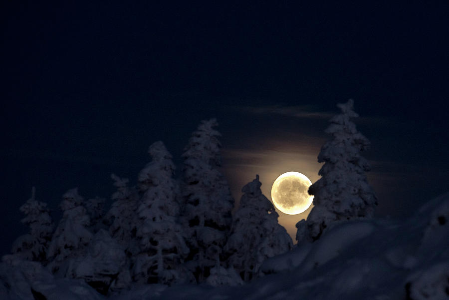 Winter Moon, Super Moon, Schierke, Brocken, Harz National Park, Saxony ...