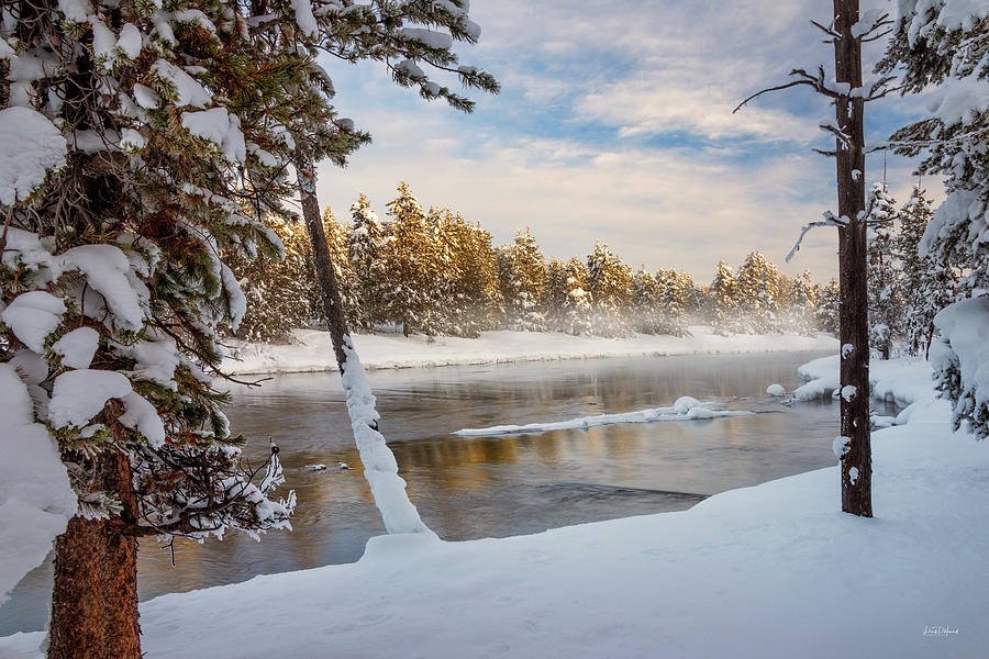 Winter Morning #1 Photograph by Leland D Howard