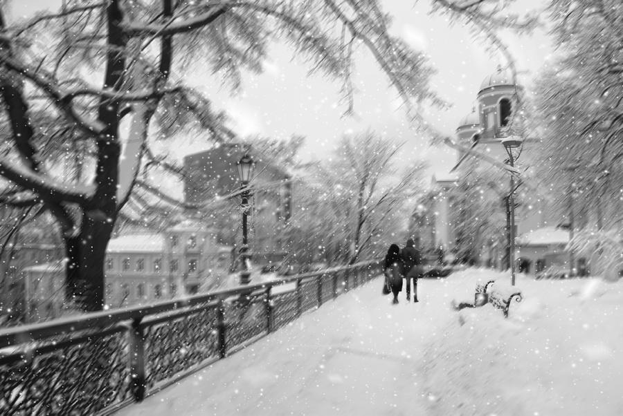 Winter Photograph - Winter Park #1 by Alexander Kiyashko