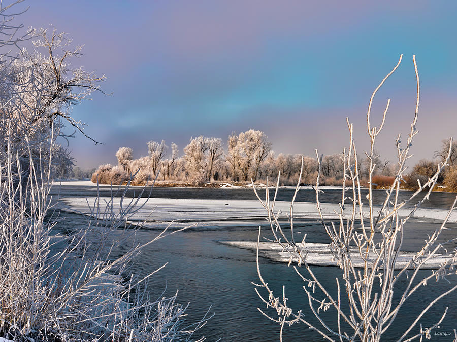 Nature Photograph - Winter River Light #1 by Leland D Howard