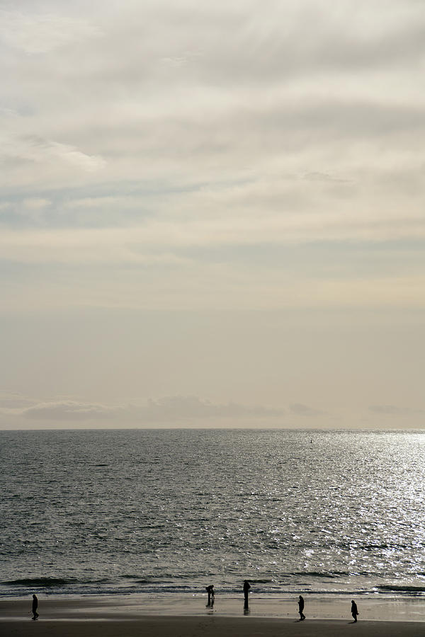 Winter seaside sunshine beach walk silhouette #1 Photograph by Seeables Visual Arts