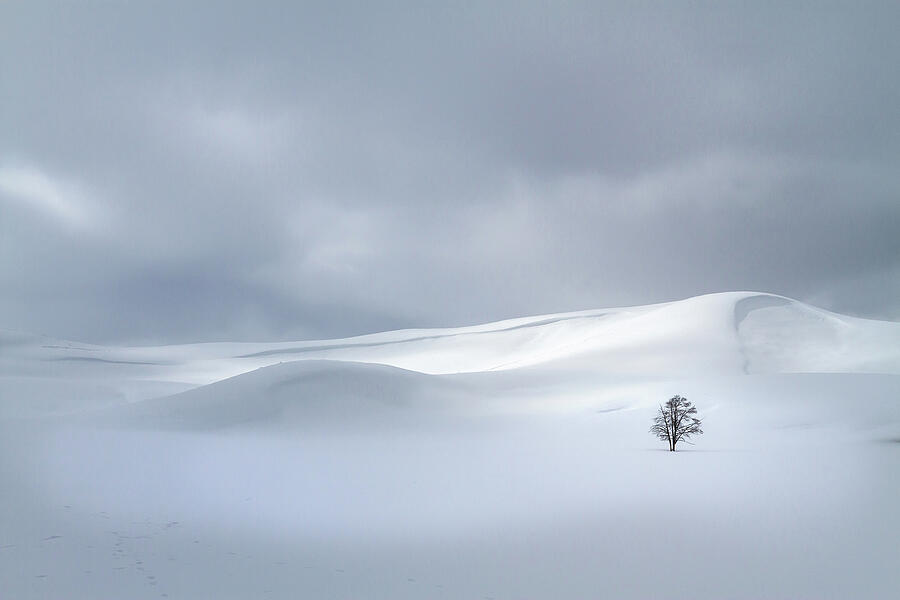 Winter Solitude  7142 #3 Photograph by Karen Celella