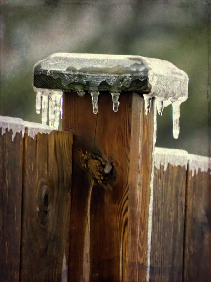 Winter Photograph - Winter Spectacular - Fence Post #1 by Leslie Montgomery