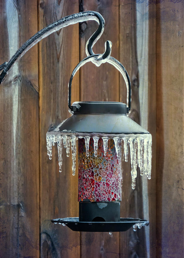 Lamp Photograph - Winter Spectacular - Garden Lantern #1 by Leslie Montgomery