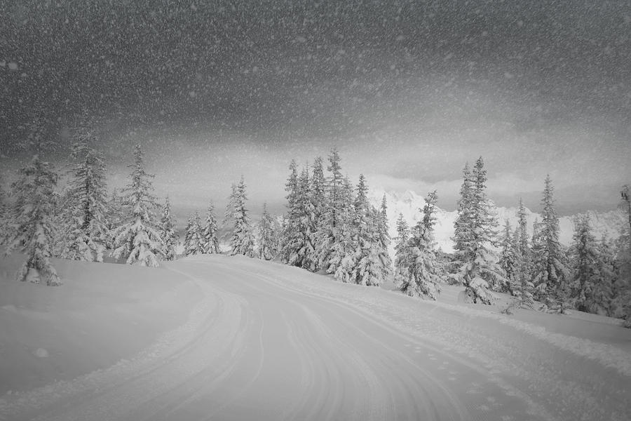 Fantasy Photograph - Winter #1 by Stephanie Kleimann