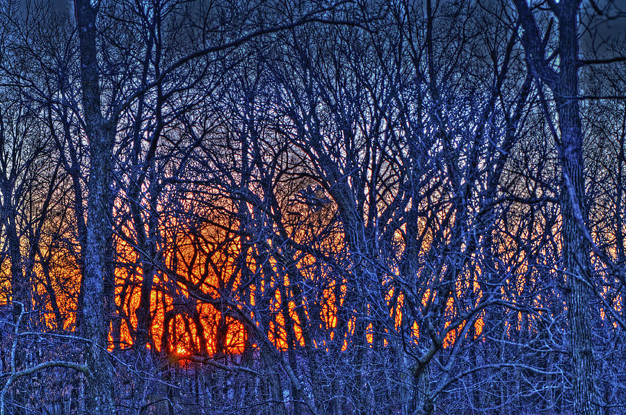 Winter Sunset #1 Photograph by Don Wolf