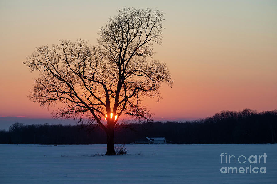 Winter Sunset Over A Michigan Farm #1 Photograph by Jim West/science Photo Library