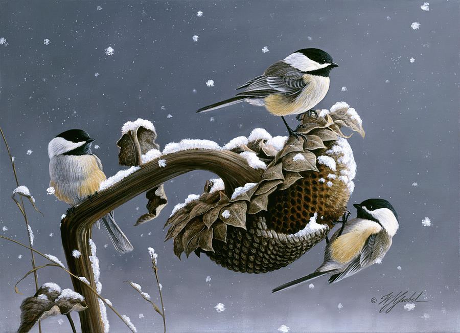 Bird Painting - Winter Trio #1 by Wilhelm Goebel