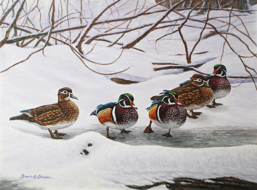 Winter Wood Ducks #1 Painting by Bruce Dumas