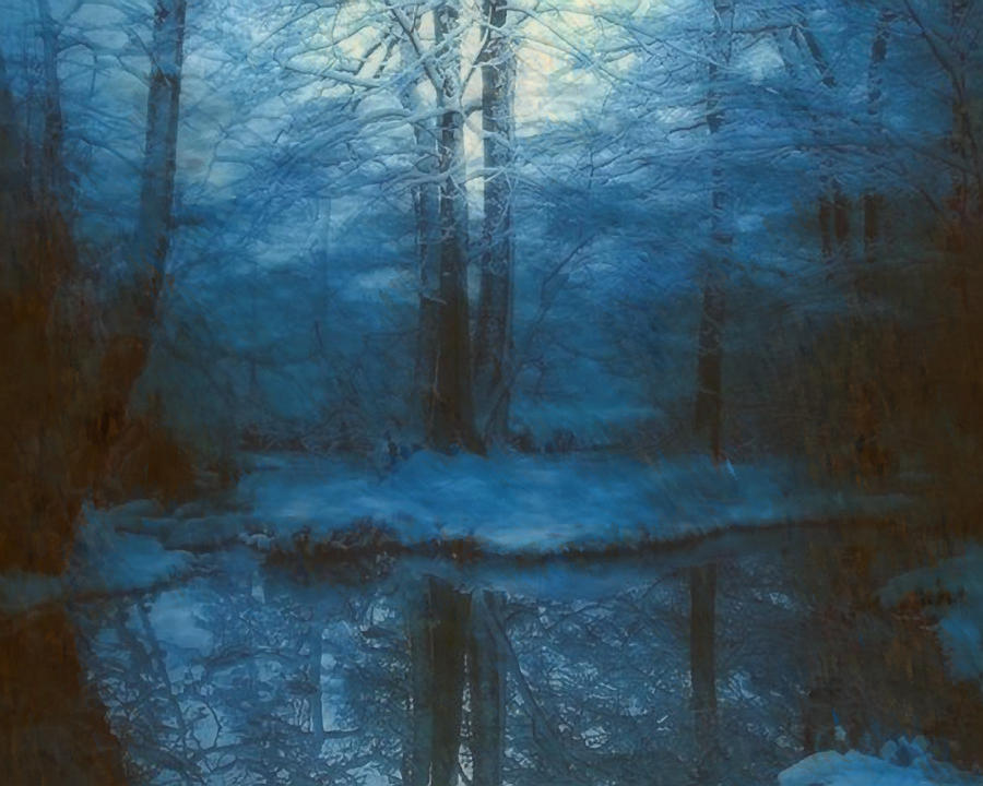 Austin Painting - Winter Woods by Troy Caperton