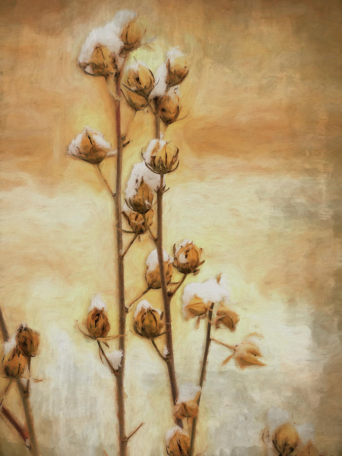 Winter Mixed Media - Wintry Rose Of Sharon #1 by Leslie Montgomery
