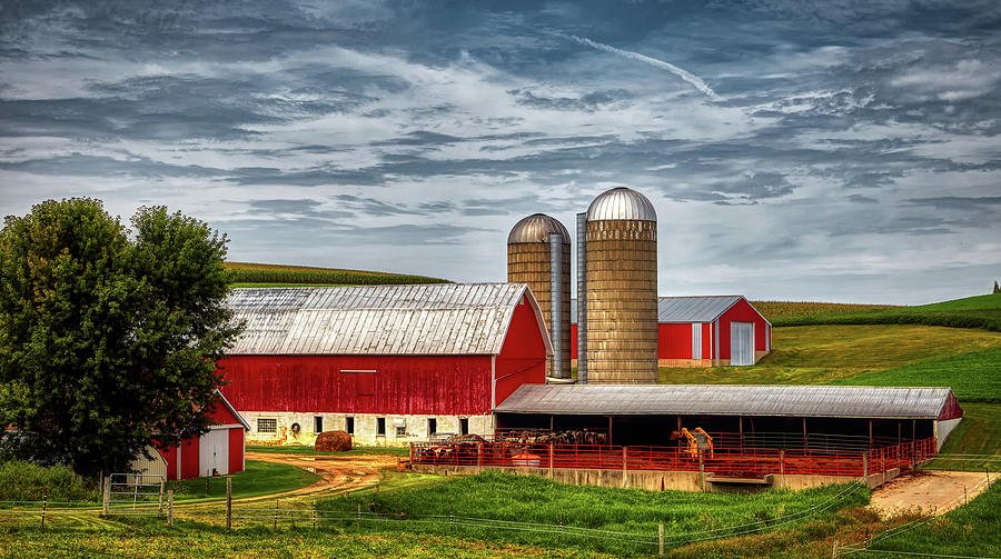 Wisconsin Dairy Farm Photograph by Mountain Dreams - Pixels