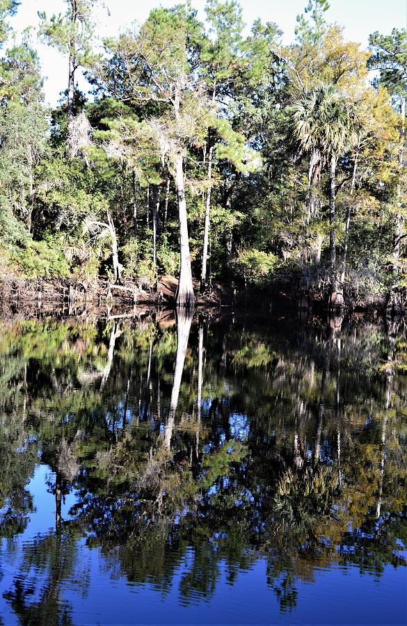 Withlacoochee Reflections #1 Photograph by Warren Thompson